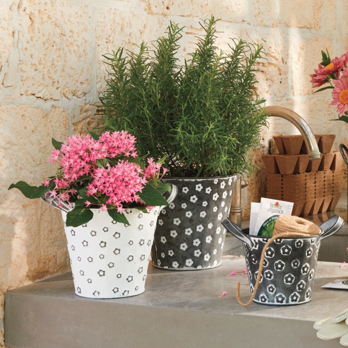 Set of 3 Daisy Buckets, , large