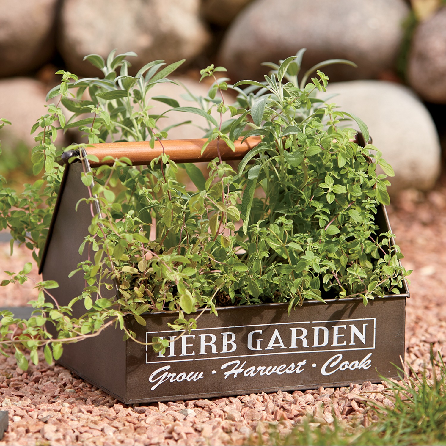 Herb Garden Organizer Seventh Avenue