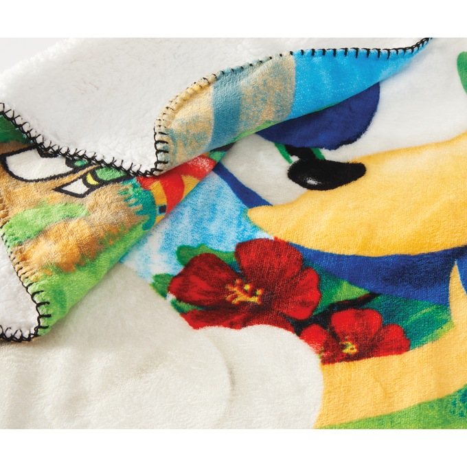 Sonic the Hedgehog Sherpa-Backed Throw, , large