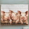 Best Piggy Friends Wall Art, , large