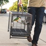 Prevue Pet Travel Carrier, , large