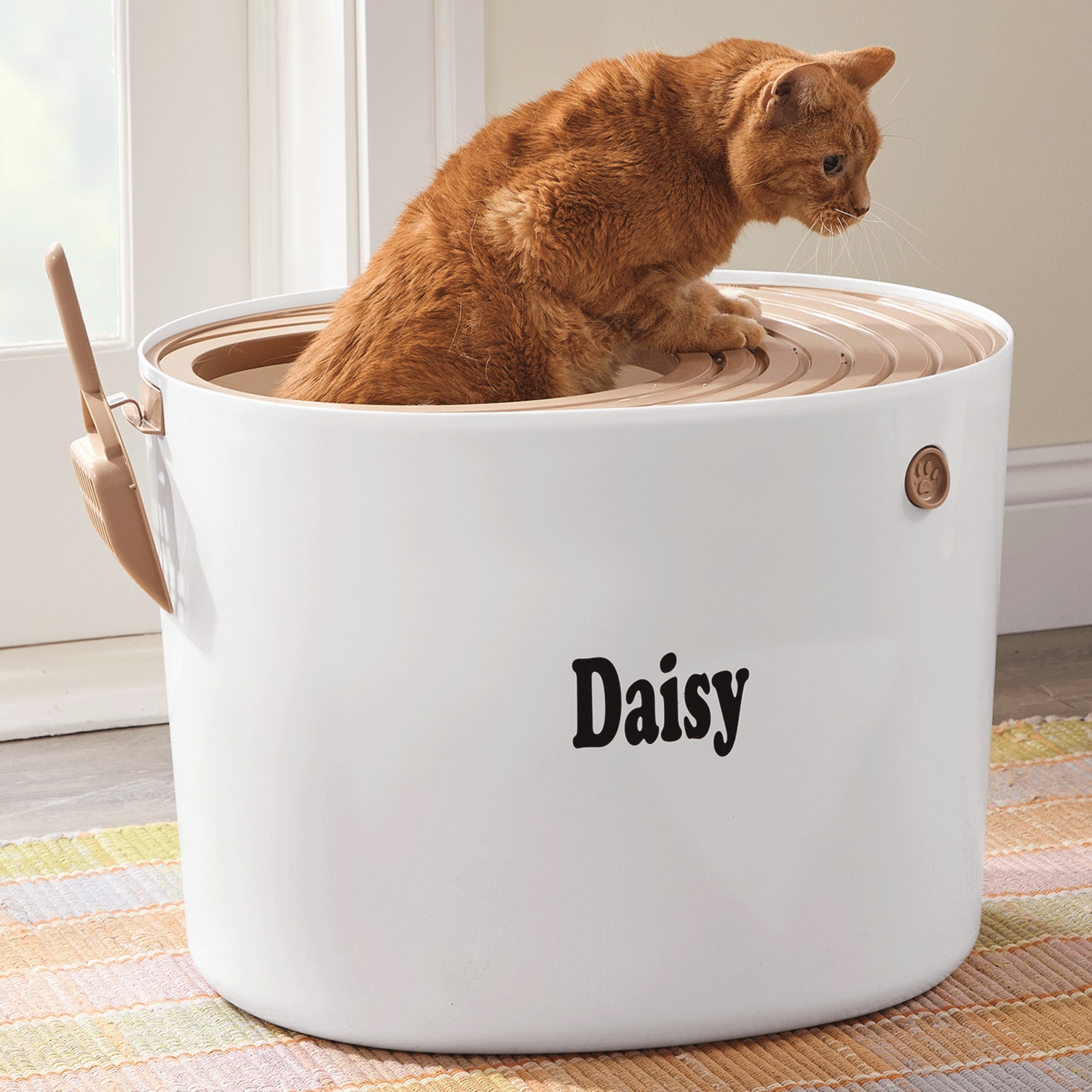 Iris Top-Entry Litter Box | Seventh Avenue