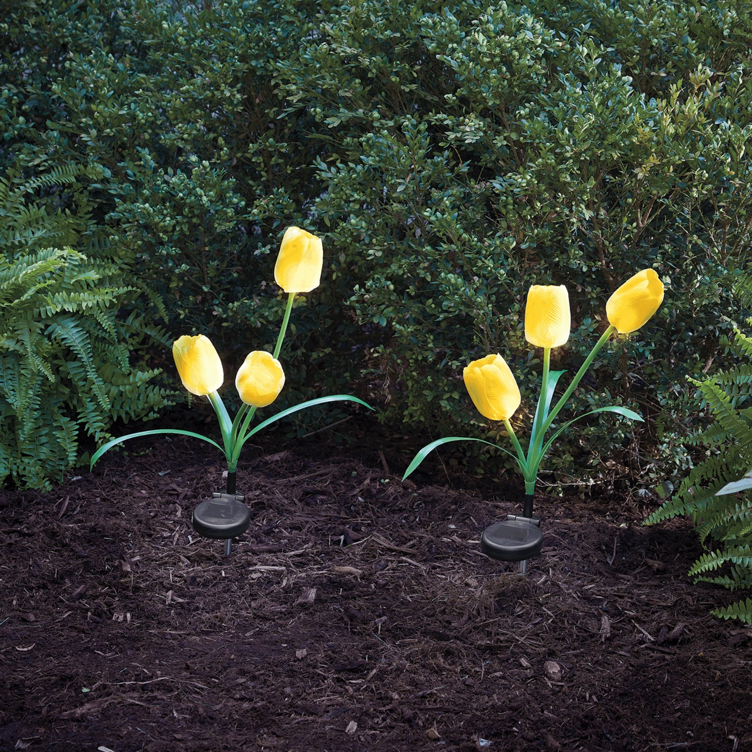 その他 Lightworks - Tulip - Set of 2 Solar Tulip Lights | Seventh Avenue