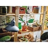 LEGO Mandrake, , large