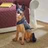 German Shepherd Statue, , large