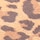 Leopard Brown
