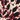 Russet Brown Leopard Print