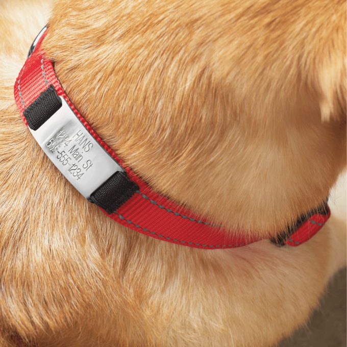 Personalized Dog Collar, , large
