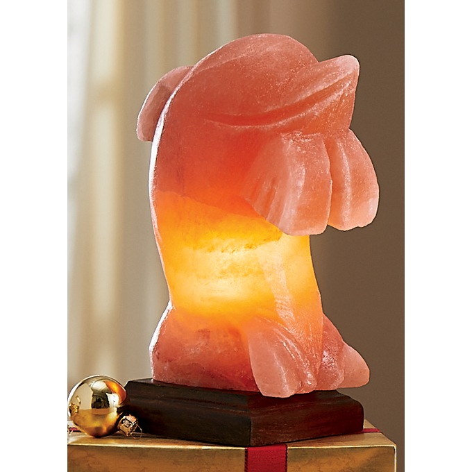 Shaped Salt Lamp, , large