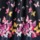 Multi Butterfly Border