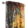 Scenic Photo Window Set , , large