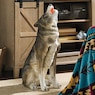 Statement Wolf Statue, , large