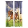 Scenic Photo Window Set , , large