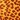 Leopard Print