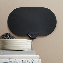 Leaf Antenna, , large
