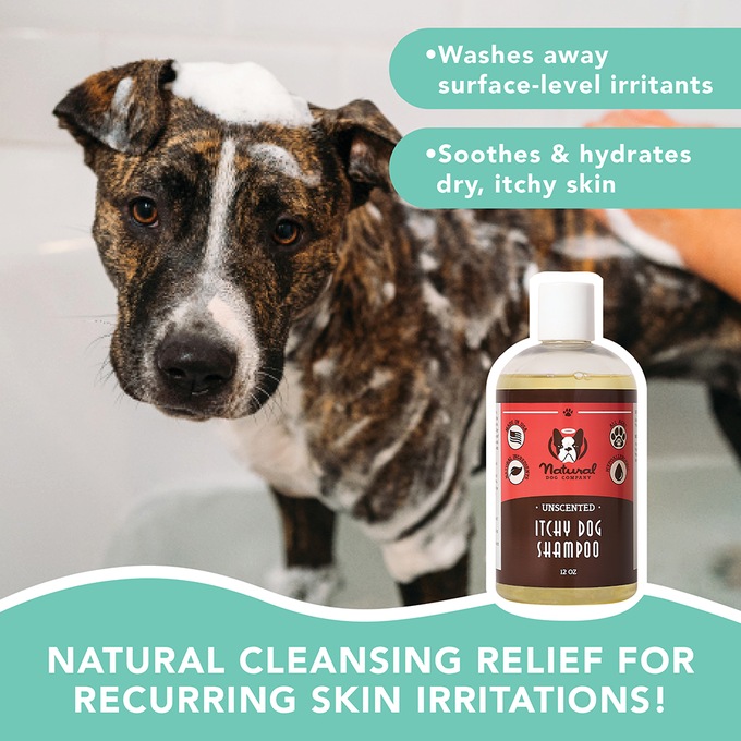 Natural Dog Company Itchy Dog Shampoo Cleansing Itch Relief, , large