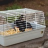 Prevue Pet Bella Small Animal Cage Kit, , large