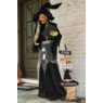 Griselda Grimoire Spellbinding Standing Witch, Multi, large
