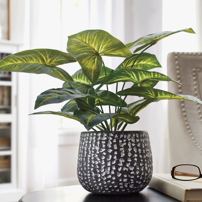 Faux Plant in Black Cement Pot, , large