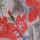 Zebra Red Floral