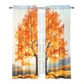 Scenic Photo Window Set , , large