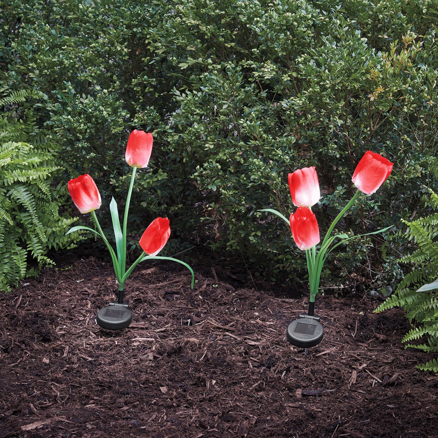 Set of 2 Solar Tulip Lights | Seventh Avenue