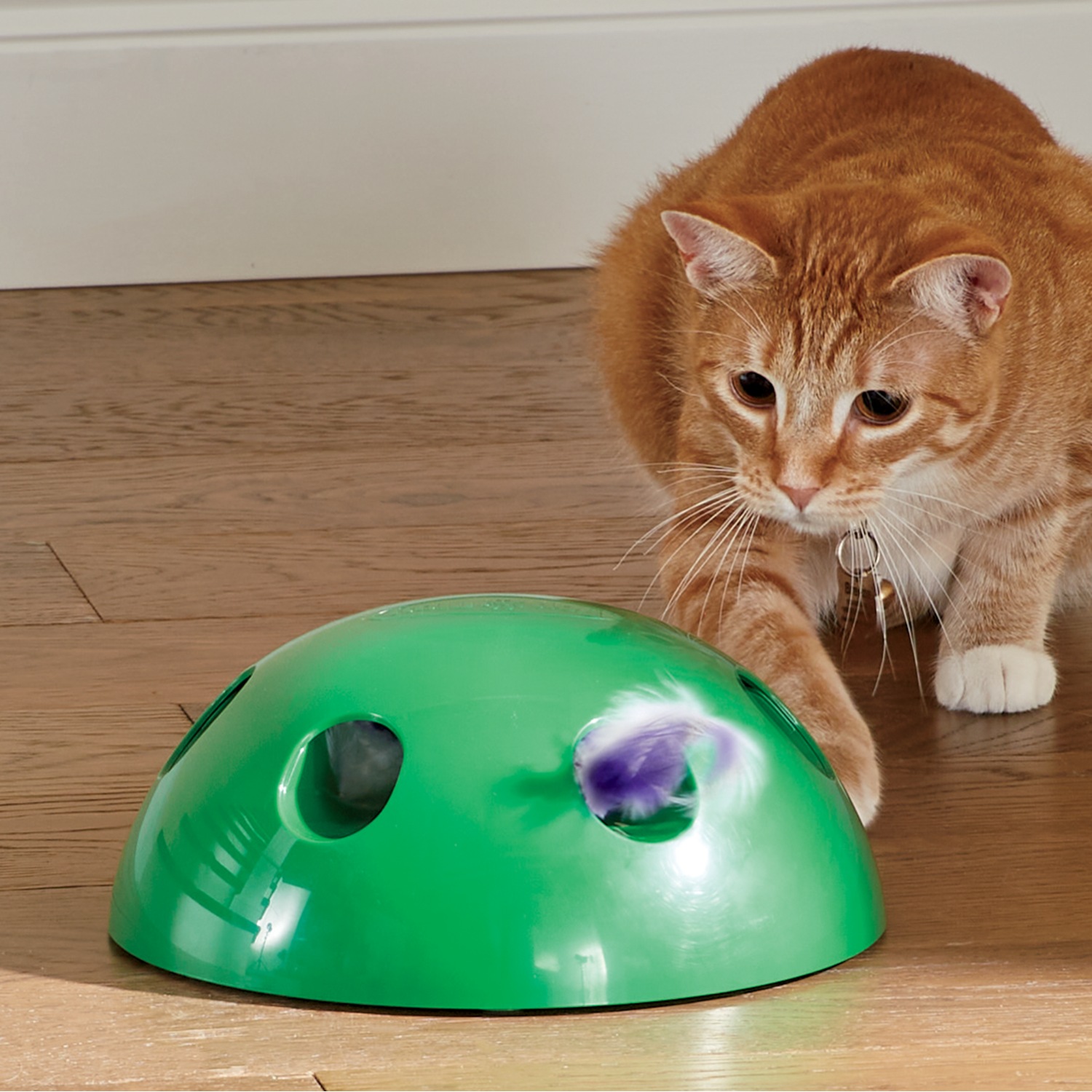 cat toy pop n play