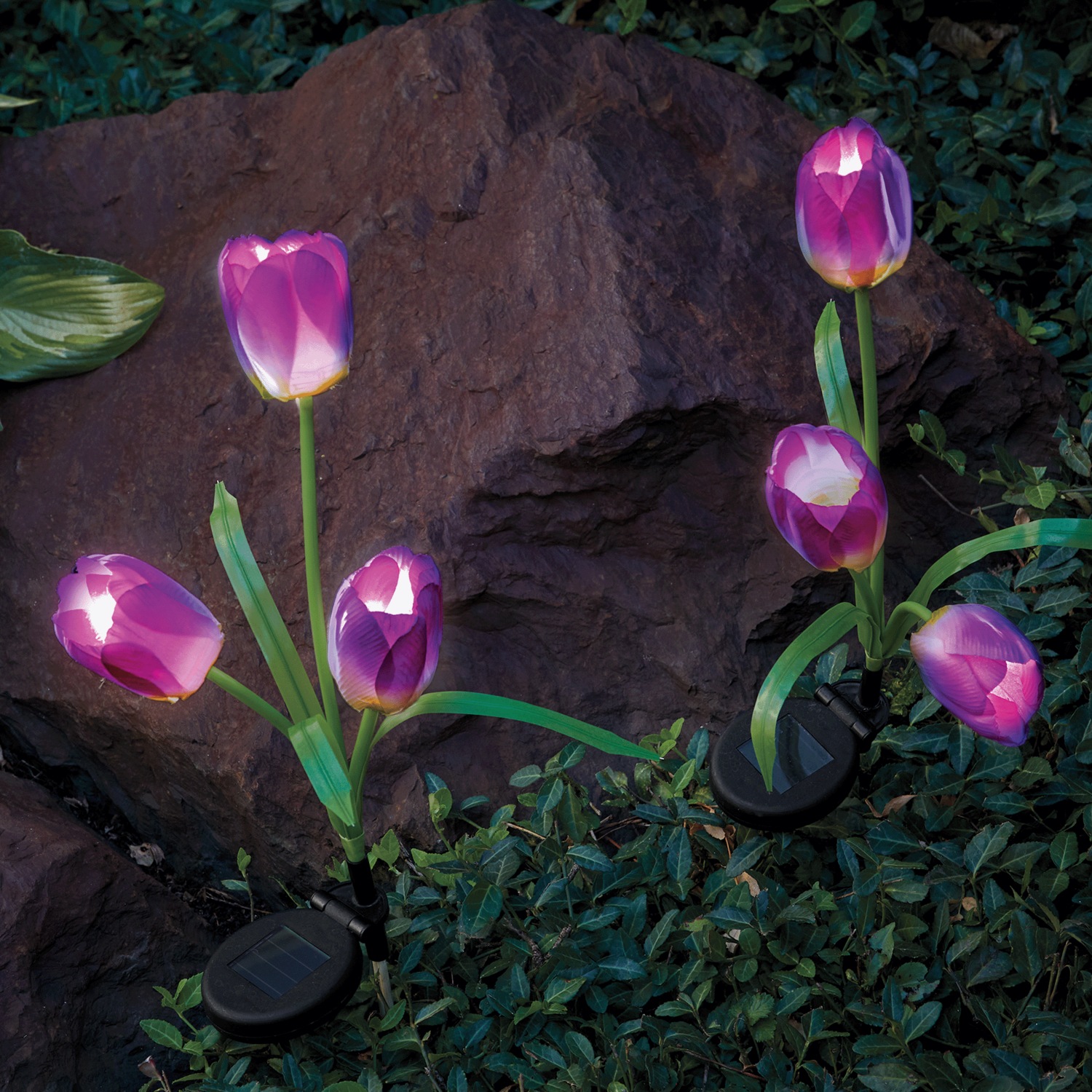 Set of 2 Solar Tulip Lights | Seventh Avenue