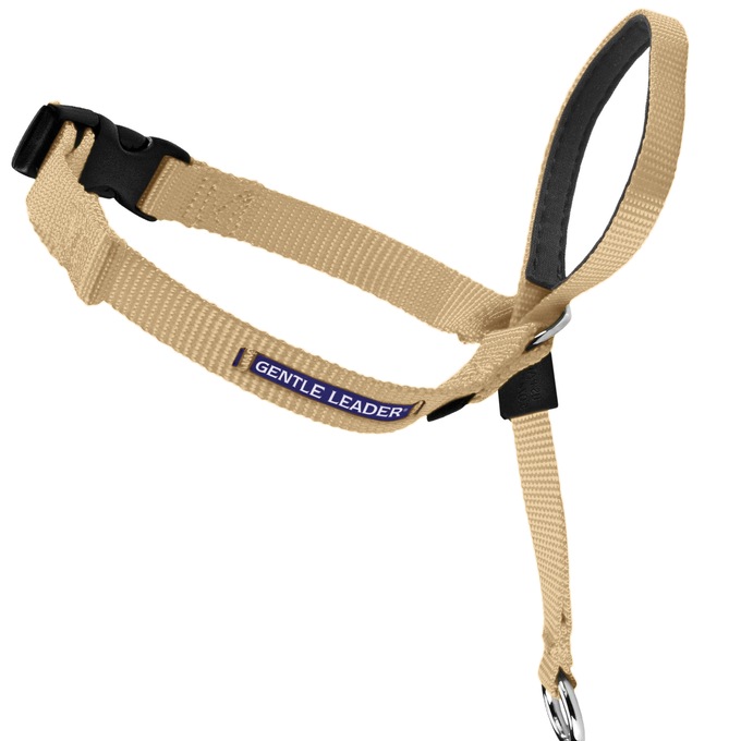 PetSafe Gentle Leader, , large