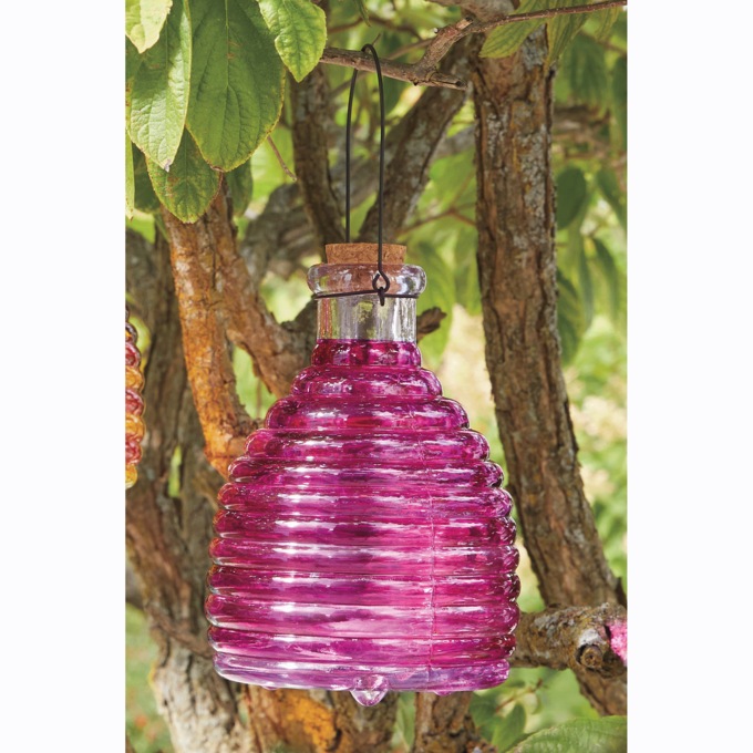 Glass Wasp Trap, Purple, large