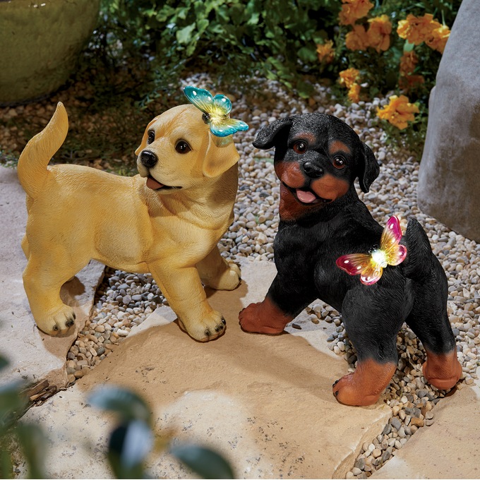 Solar Puppies with Butterfly, , large
