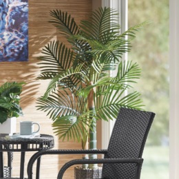 Palm Tree, , large