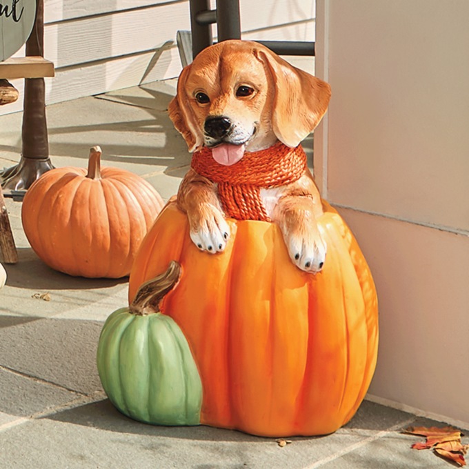 Ottie the Outdoor Pup in a Pumpkin Statue, Orange, large