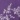 Leaves and Vines Microfiber Sheet Set, Purple, swatch