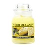 Cheerful Candle 6-oz. Mini Jar Candle, , large