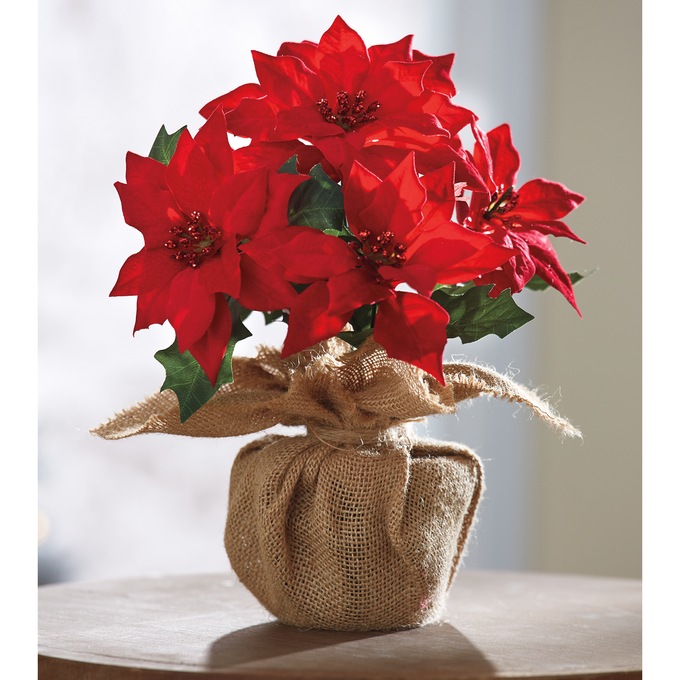 Faux Poinsettia in Burlap-Wrapped Pot, , large
