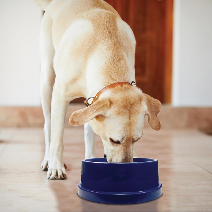 K&H Pet Coolin&#39; Bowl, , large