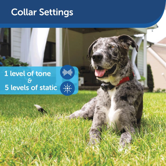 PetSafe Wireless Dog Fence, , large