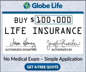 Ivory Carved Cabinet